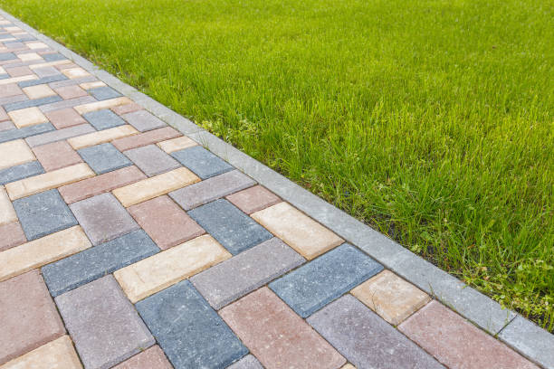 Best Driveway Paving Near Me  in Princeton, NJ